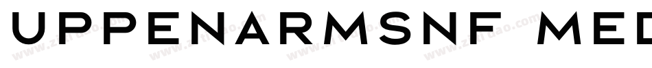 UppenArmsNF Medium字体转换